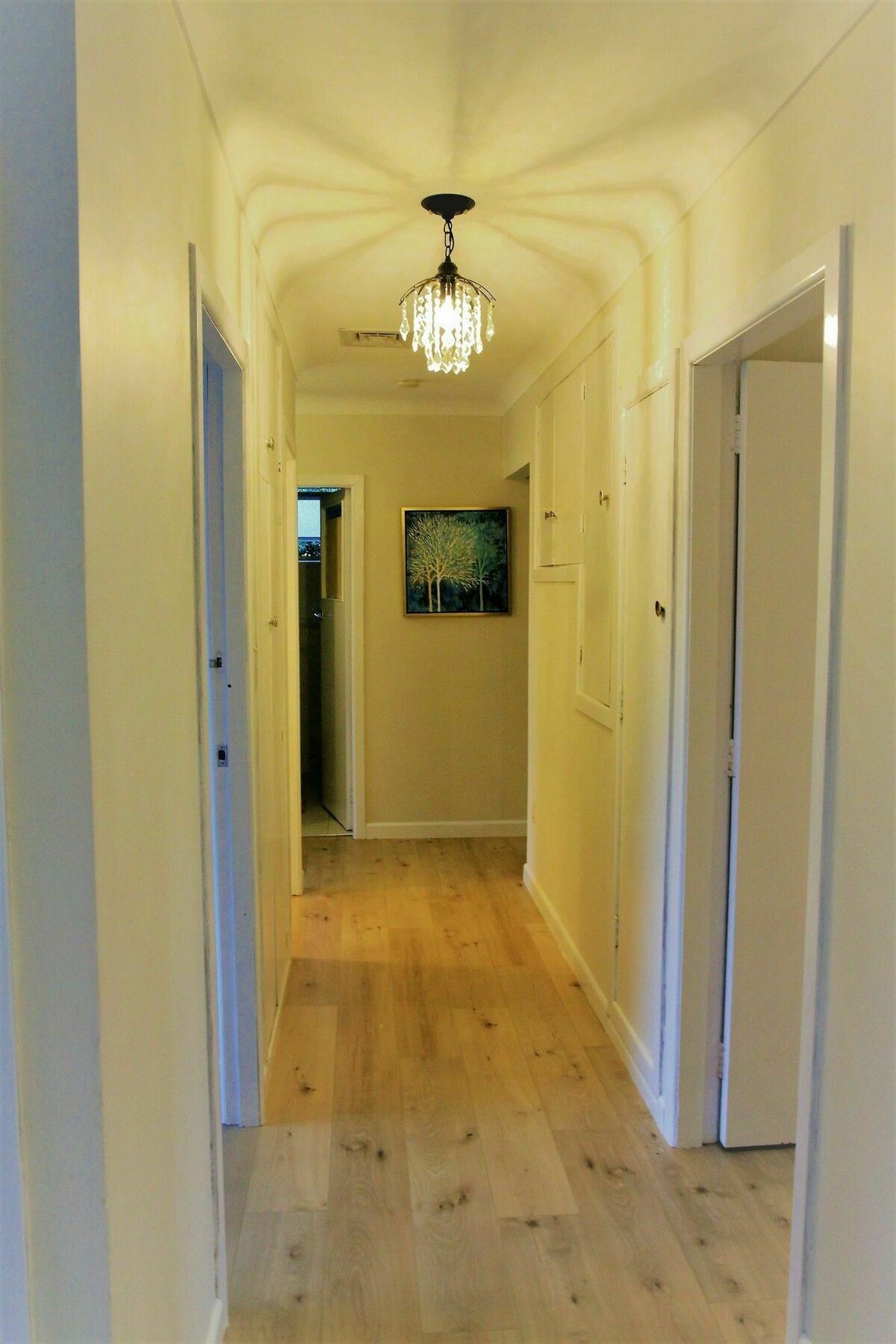 Unique Home - New Windsor House أوكلاند المظهر الخارجي الصورة